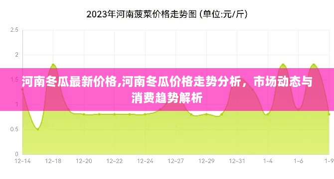 2024年12月9日 第19页