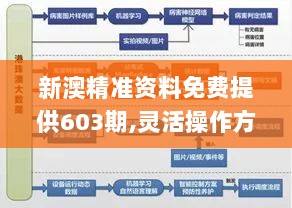 新澳精准资料免费提供603期,灵活操作方案设计_超值版6.765