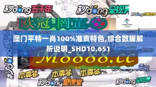 澳门平特一肖100%准资特色,综合数据解析说明_SHD10.651