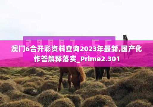 澳门6合开彩资料查询2023年最新,国产化作答解释落实_Prime2.301