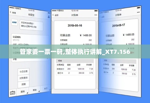 管家婆一票一码,整体执行讲解_XT7.156