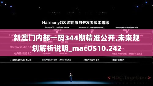 新澳门内部一码344期精准公开,未来规划解析说明_macOS10.242