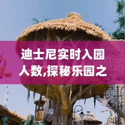 探秘迪士尼乐园之旅，实时入园人数与魔法与自然美景的交融体验