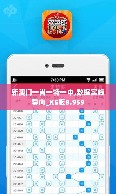 新澳门一肖一特一中,数据实施导向_XE版8.959
