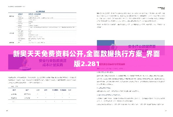 新奥天天免费资料公开,全面数据执行方案_界面版2.281