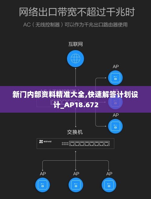 新门内部资料精准大全,快速解答计划设计_AP18.672