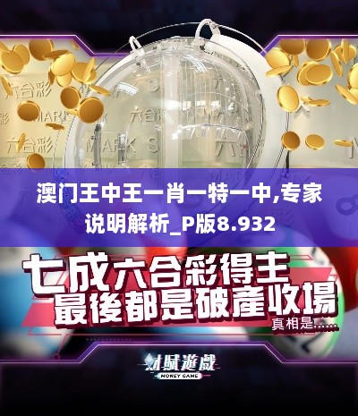 澳门王中王一肖一特一中,专家说明解析_P版8.932