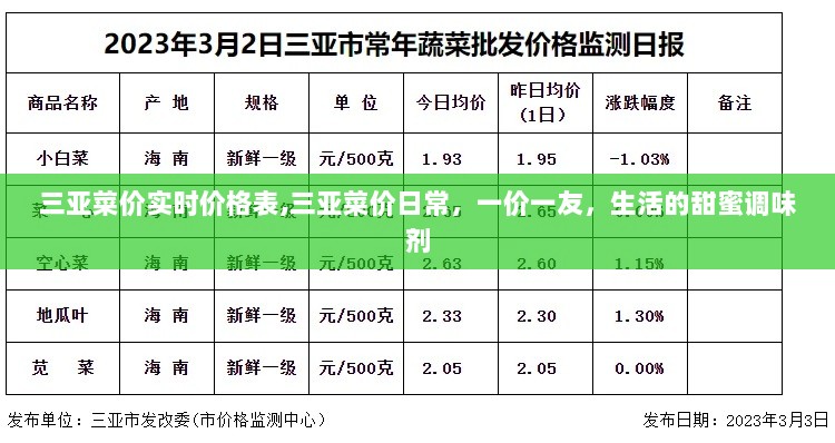 三亚菜价实时更新，日常价格表与生活的甜蜜调味剂