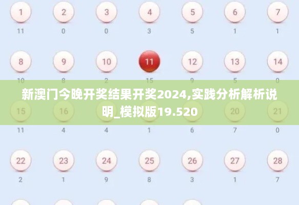 新澳门今晚开奖结果开奖2024,实践分析解析说明_模拟版19.520