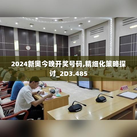 2024新奥今晚开奖号码,精细化策略探讨_2D3.485