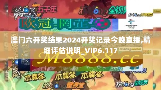 澳门六开奖结果2024开奖记录今晚直播,精细评估说明_VIP6.117