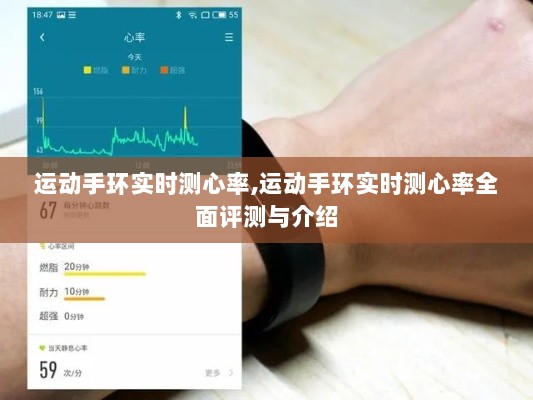 运动手环实时心率监测功能全面评测与介绍