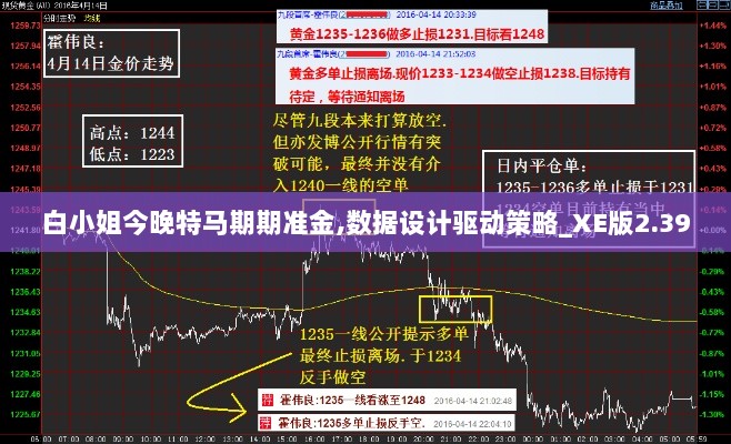 2024年12月10日 第56页