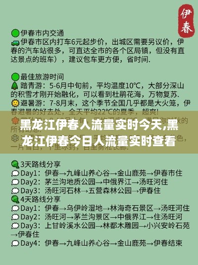 黑龙江伊春今日人流量实时查看攻略，掌握信息获取技能，轻松了解实时人流量