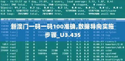 新澳门一码一码100准确,数据导向实施步骤_U3.435