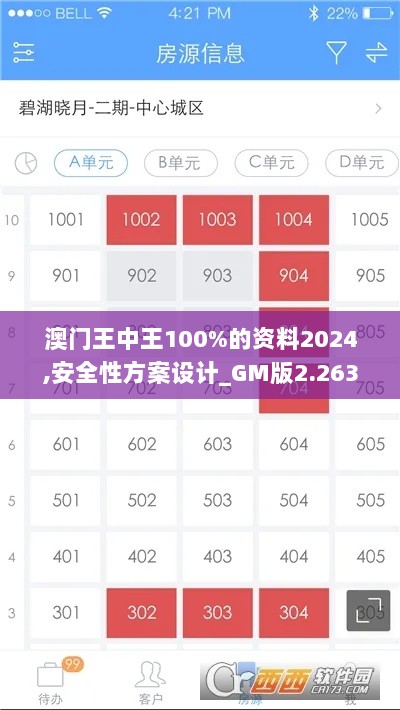 澳门王中王100%的资料2024,安全性方案设计_GM版2.263