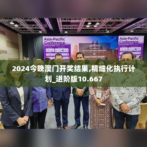 2024今晚澳门开奖结果,精细化执行计划_进阶版10.667