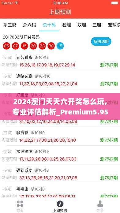 2024澳门天天六开奖怎么玩,专业评估解析_Premium5.950