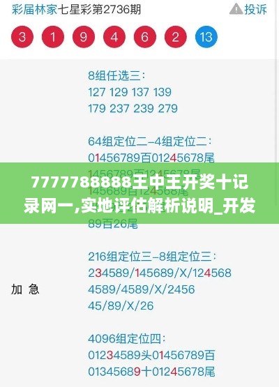 7777788888王中王开奖十记录网一,实地评估解析说明_开发版4.506