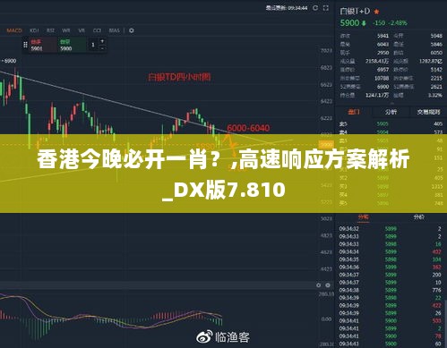 香港今晚必开一肖？,高速响应方案解析_DX版7.810