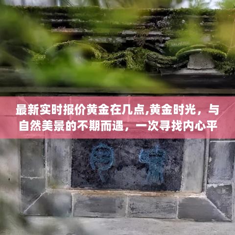 黄金时光之旅，探寻实时报价与内心平静的旅程