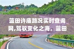 蓝田许庙路况实时查询网，引领自信与成就之路，驾驭变化之海