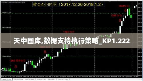 天中图库,数据支持执行策略_KP1.222