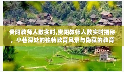 贵阳教师人数实时揭秘，小巷深处的教育风景与宝藏探索