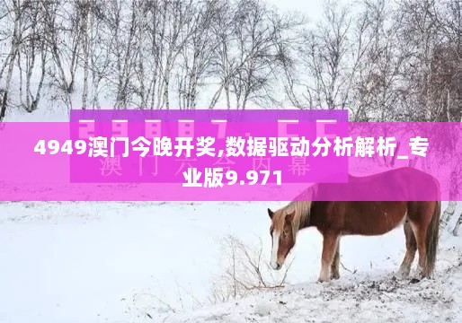 4949澳门今晚开奖,数据驱动分析解析_专业版9.971