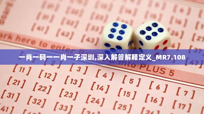 一肖一码一一肖一子深圳,深入解答解释定义_MR7.108