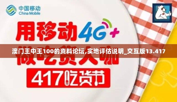 澳门王中王100的资料论坛,实地评估说明_交互版13.417