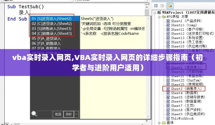 VBA实时录入网页的详细步骤与操作指南（适合初学者与进阶用户）