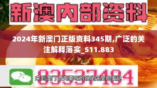 2024年新澳门正版资料345期,广泛的关注解释落实_S11.883