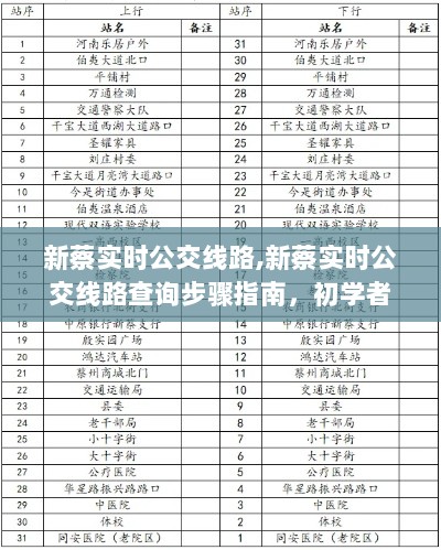 新蔡实时公交线路指南，查询步骤详解，适合初学者与进阶用户