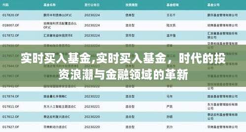 实时买入基金，投资浪潮与金融革新的时代选择