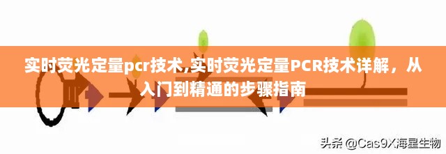 实时荧光定量PCR技术详解，从入门到精通的步骤指南