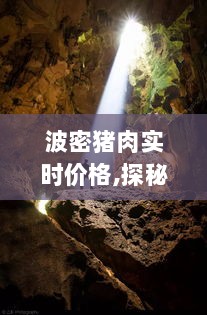 探秘波密猪肉小巷秘境，实时价格之旅