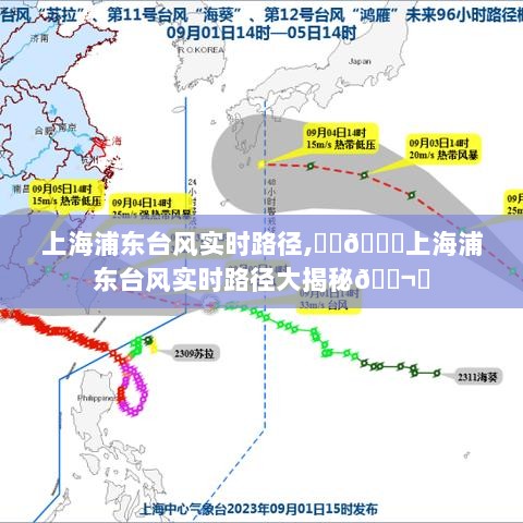 上海浦东台风实时路径大揭秘，最新动态与路径分析