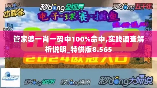 管家婆一肖一码中100%命中,实践调查解析说明_特供版8.565