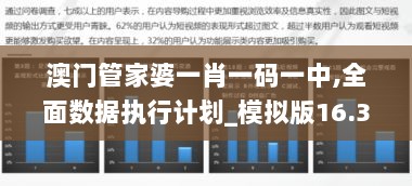 澳门管家婆一肖一码一中,全面数据执行计划_模拟版16.335