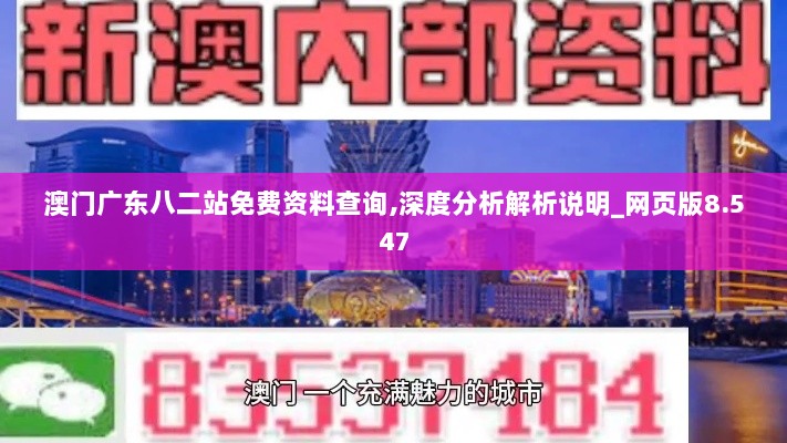 澳门广东八二站免费资料查询,深度分析解析说明_网页版8.547