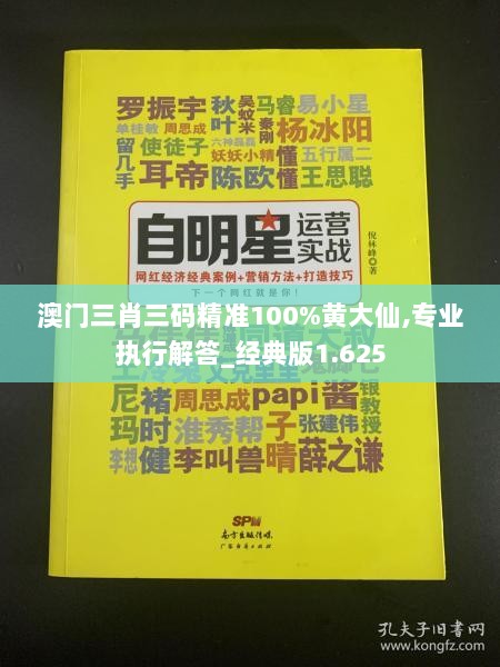 澳门三肖三码精准100%黄大仙,专业执行解答_经典版1.625