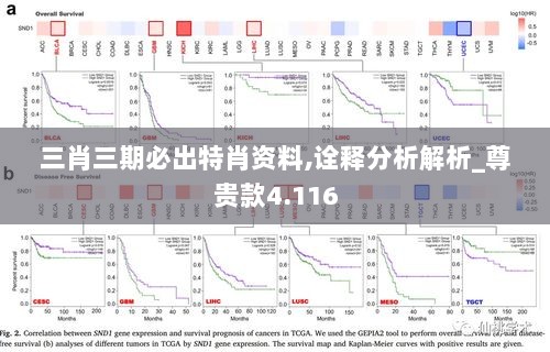 三肖三期必出特肖资料,诠释分析解析_尊贵款4.116