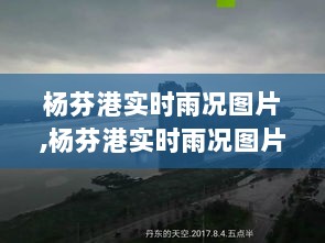 杨芬港实时雨况图片，雨情分析、影响及图片展示