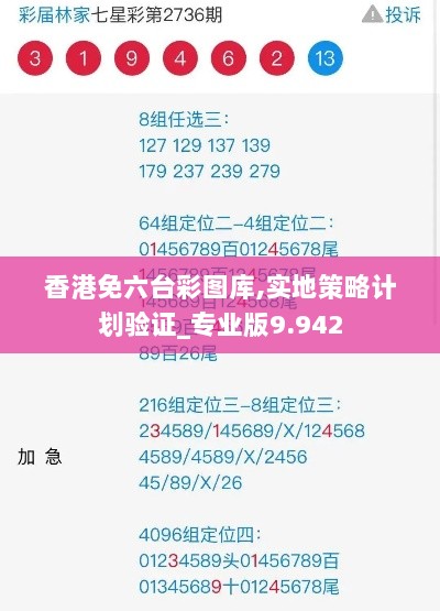 香港免六台彩图库,实地策略计划验证_专业版9.942