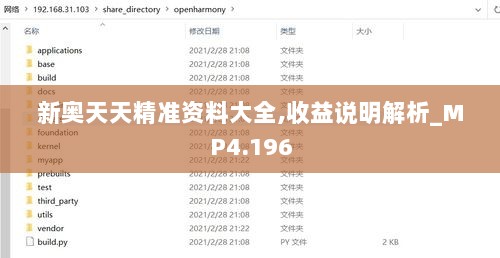 新奥天天精准资料大全,收益说明解析_MP4.196