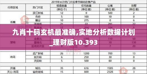 九肖十码玄机最准确,实地分析数据计划_理财版10.393