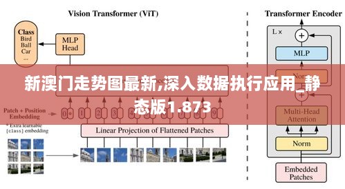 新澳门走势图最新,深入数据执行应用_静态版1.873