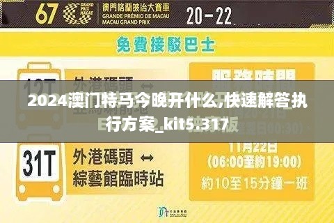 2024澳门特马今晚开什么,快速解答执行方案_kit5.317