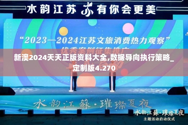 新澳2024天天正版资料大全,数据导向执行策略_定制版4.270